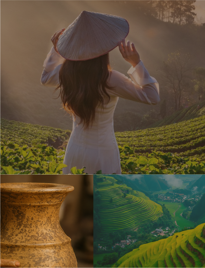 A three-part collage:
            • Top: A woman in a white áo dài and conical hat stands with her back to the camera, gazing over rows of lush green crops bathed in golden sunlight.
            • Bottom left: A close-up of a weathered, earthenware vase held by a hand, its textured surface showing age and craftsmanship.
            • Bottom right: A sweeping aerial view of vibrant green rice terraces cascading down a mountainside under a misty sky.